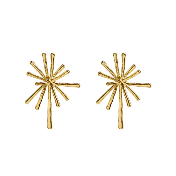 Brief Women Exaggerated Dazzling Light Earrings - Lukalula.com 