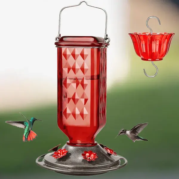 24oz Leak Proof Glass Hummingbird Feeder - Lukalula.com 