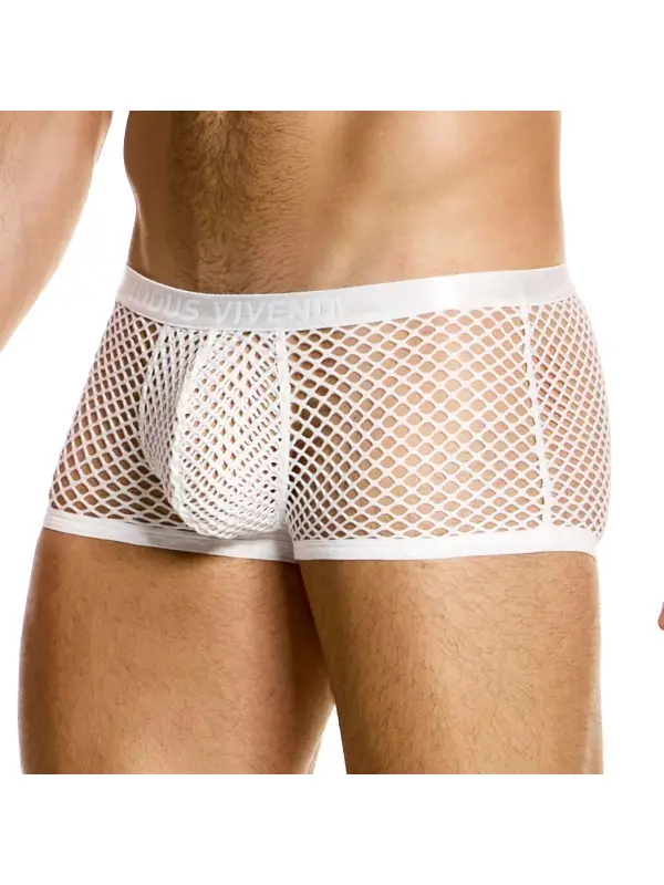Men's Mesh Shorts Shorts Elastic Waist Beach Swimming Trunks Home Leisure Comfortable Breathable Shorts - Anrider.com 