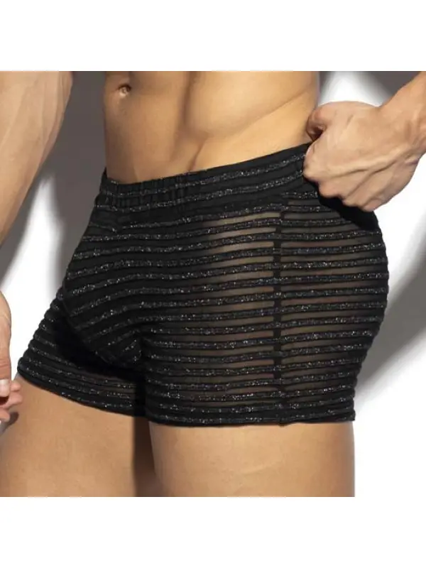 Men's Silver Striped Mesh Shorts Elastic Waist Beach Swimming Trunks Home Leisure Comfortable Breathable Sexy Shorts - Anrider.com 