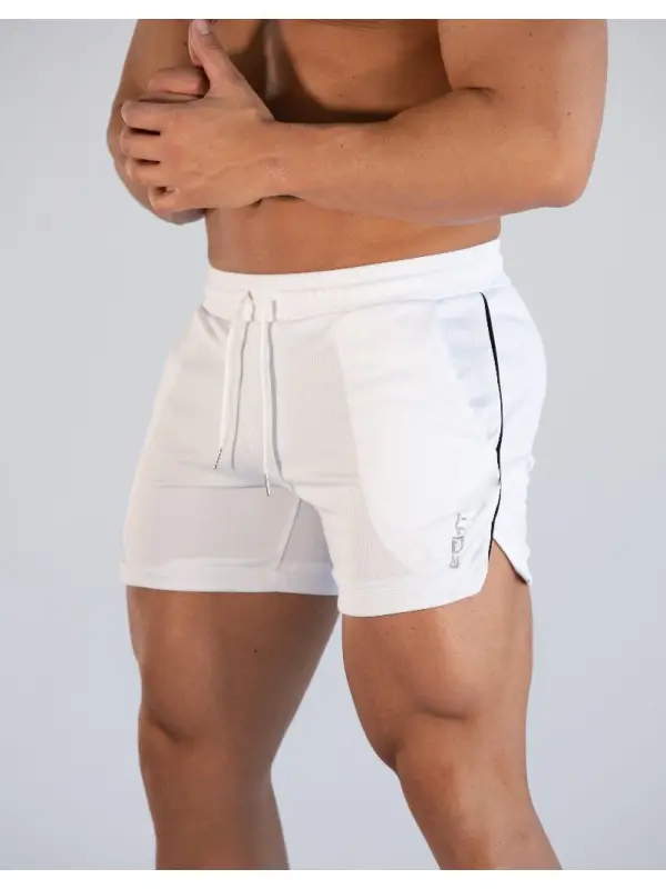 Men's Quick Dry Sports Mesh Shorts - Localziv.com 